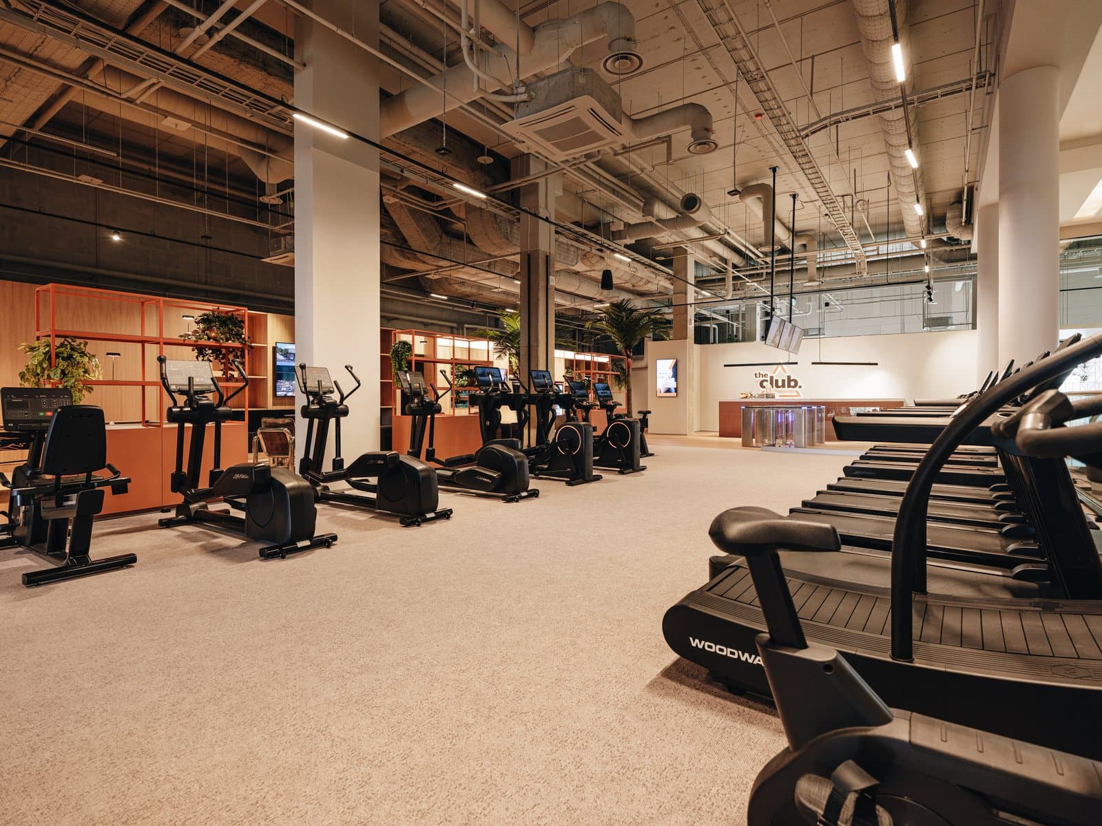 Gym Workouts 3